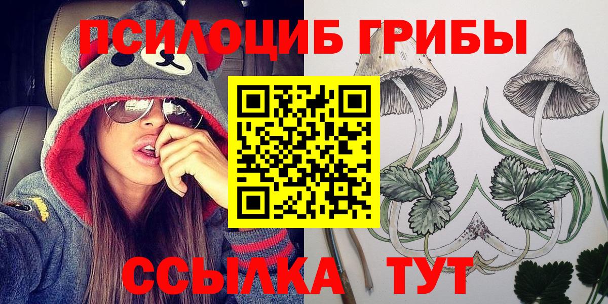 Галлюциногенные грибы прущие грибы  Вход с VPN  Мегион 