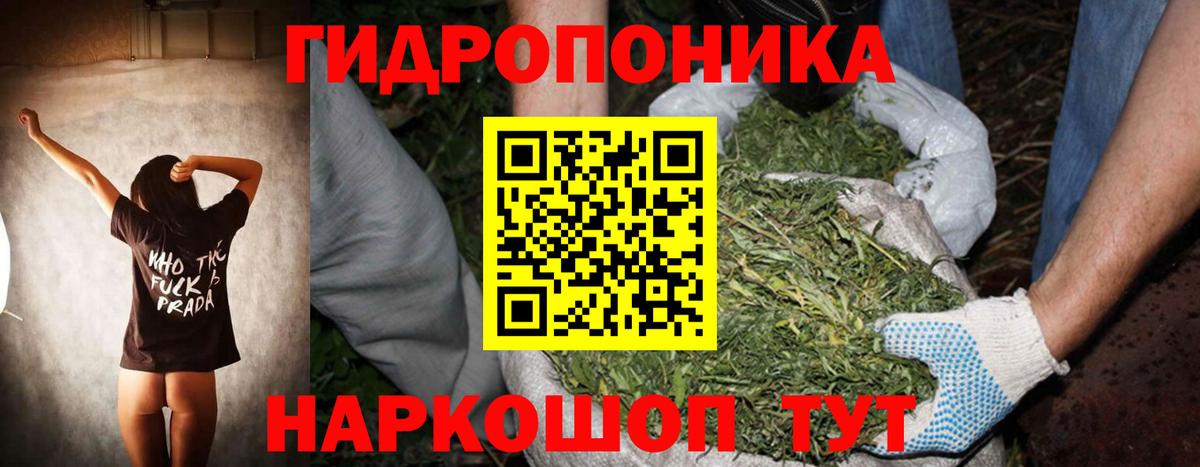Конопля Ganja  Вход с VPN  Шишки марихуана индика  Канабис White Widow  Мегион 